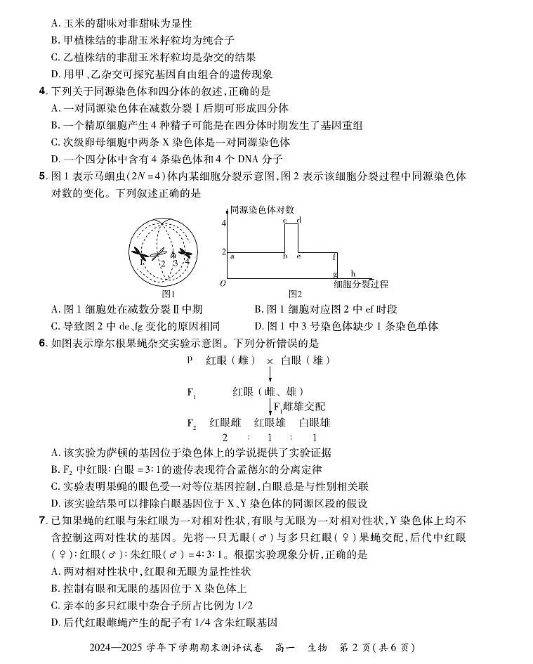 25高一下期末生物试卷第2页