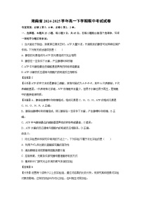 【生物】海南省2024-2025学年高一下学期期中考试试卷（解析版）