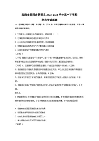 【生物】湖南省邵阳市新邵县2023-2024学年高一下学期期末考试试题（解析版）