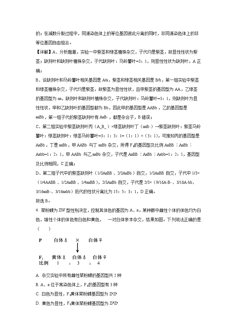 【生物】山东省淄博市2023-2024学年高一下学期7月期末试题(解析版)第3页