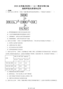2025北京重点校高一（上）期末真题生物汇编：细胞呼吸的原理和应用