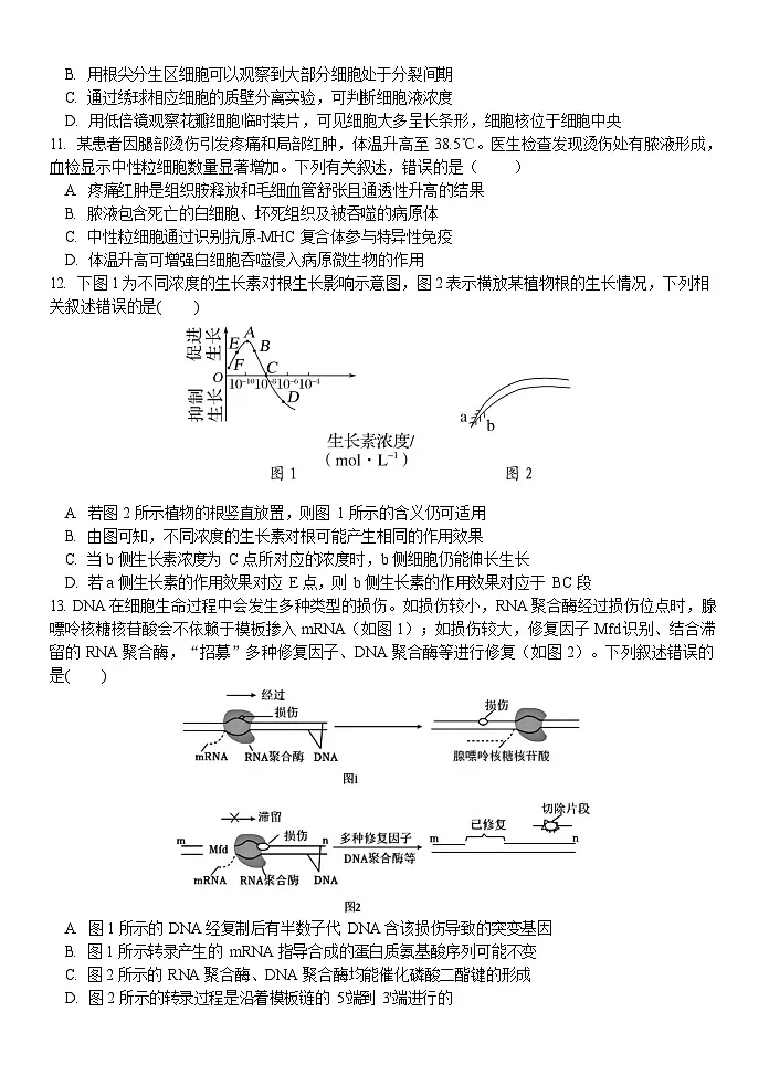 浙江省2025年高二下学期温州十校联合体期末联考生物试卷第3页