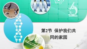 高中生物人教版 (新课标)必修3《稳态与环境》保护我们共同的家园复习ppt课件