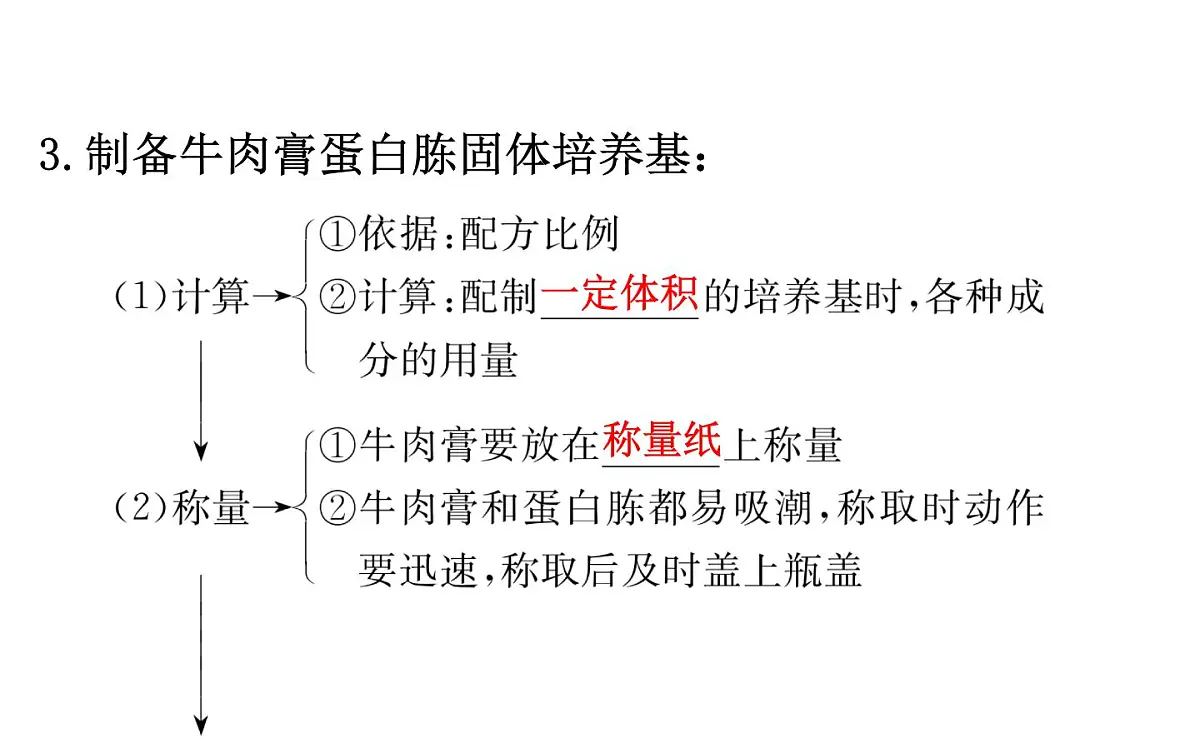 人教版 (新课标)高中生物选修1 2-1《微生物的实验室培养(复习课)》课件第7页
