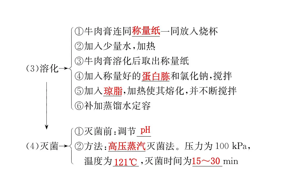 人教版 (新课标)高中生物选修1 2-1《微生物的实验室培养(复习课)》课件第8页