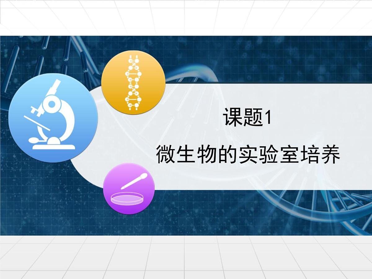 人教版 (新课标)高中生物选修1 2-1《微生物的实验室培养》课件第1页