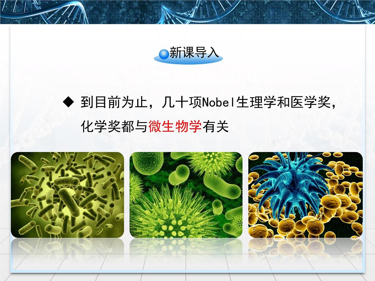 人教版 (新课标)高中生物选修1 2-1《微生物的实验室培养》课件第2页