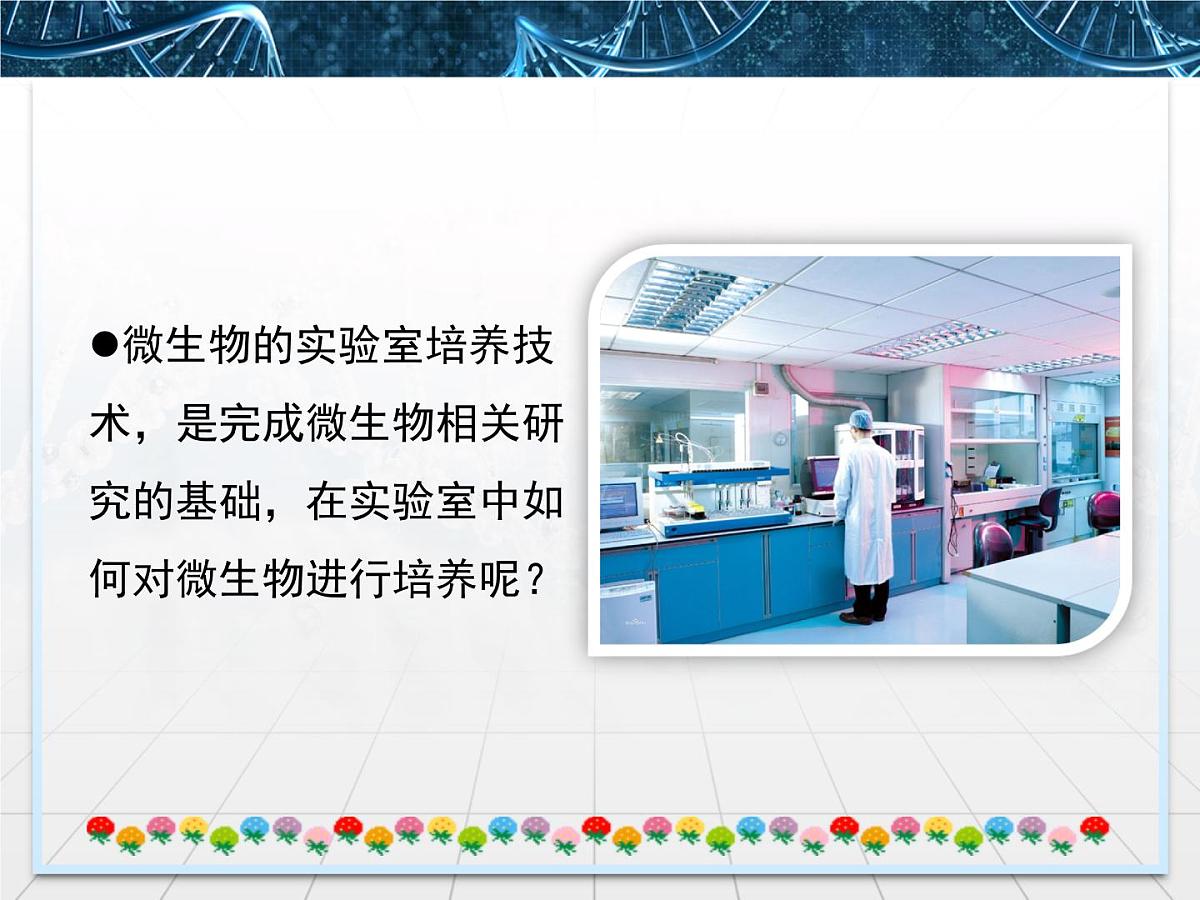 人教版 (新课标)高中生物选修1 2-1《微生物的实验室培养》课件第3页