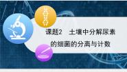 高中生物人教版 (新课标)选修1《生物技术实践》土壤中分解尿素的细菌的分离与计数多媒体教学ppt课件