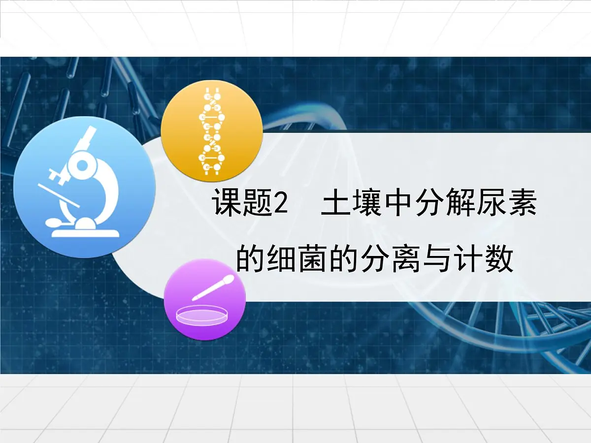 人教版 (新课标)高中生物选修1 2-2《土壤中分解尿素的细菌的分离与计数》课件第1页