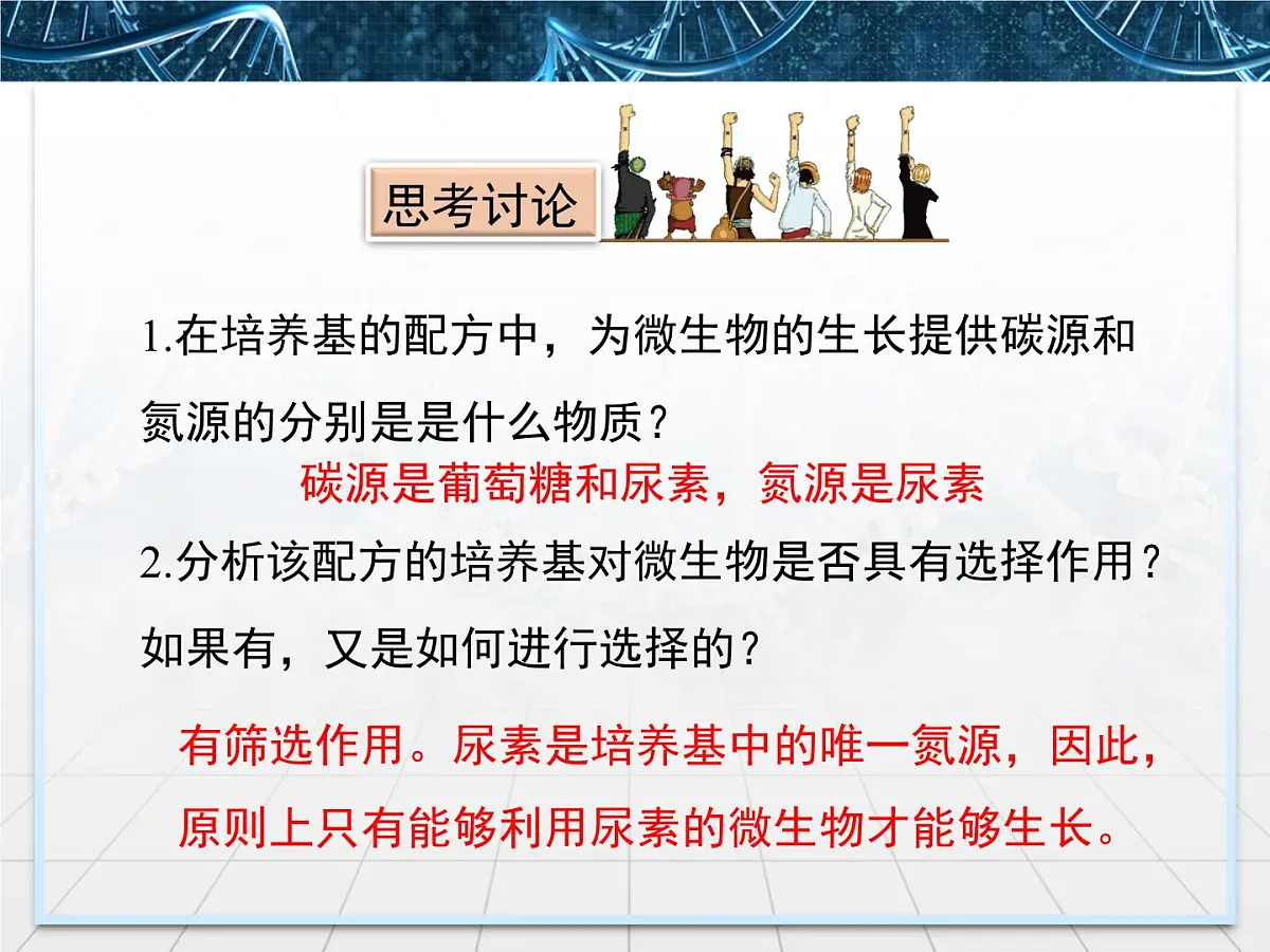 人教版 (新课标)高中生物选修1 2-2《土壤中分解尿素的细菌的分离与计数》课件第7页