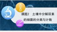 高中生物人教版 (新课标)选修1《生物技术实践》土壤中分解尿素的细菌的分离与计数教课ppt课件
