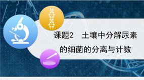 高中生物人教版 (新课标)选修1《生物技术实践》土壤中分解尿素的细菌的分离与计数教课ppt课件