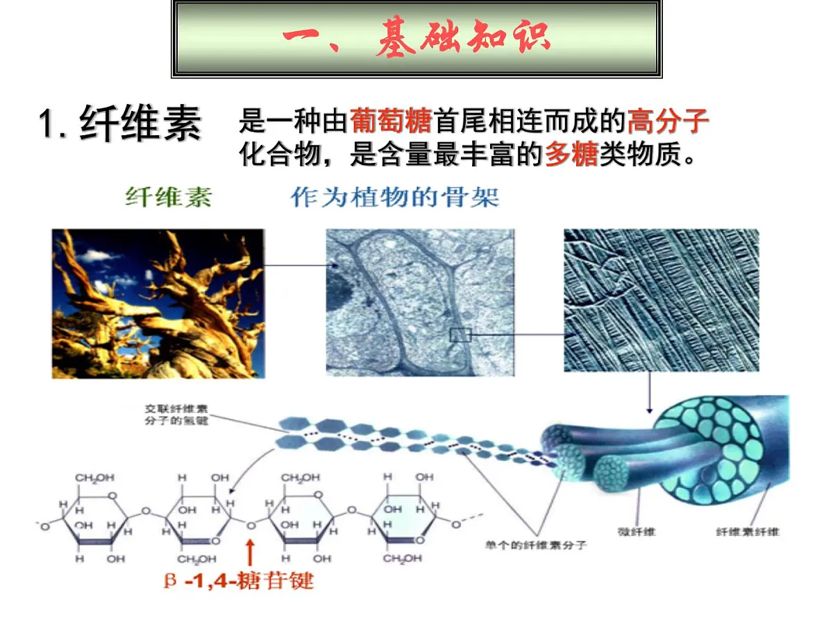 人教版 (新课标)高中生物选修1 2-3《分解纤维素的微生物的分离》课件第2页