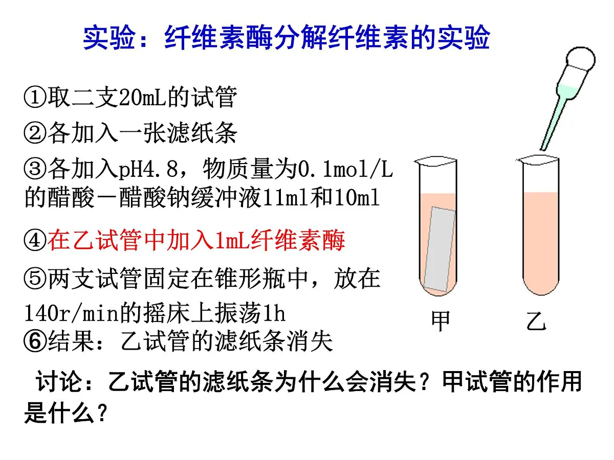 人教版 (新课标)高中生物选修1 2-3《分解纤维素的微生物的分离》课件第4页