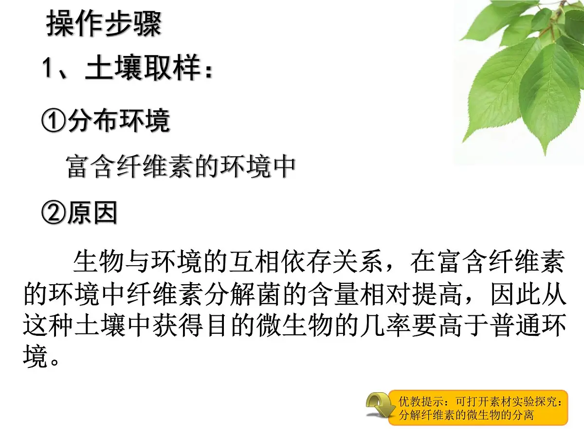 人教版 (新课标)高中生物选修1 2-3《分解纤维素的微生物的分离》课件第7页