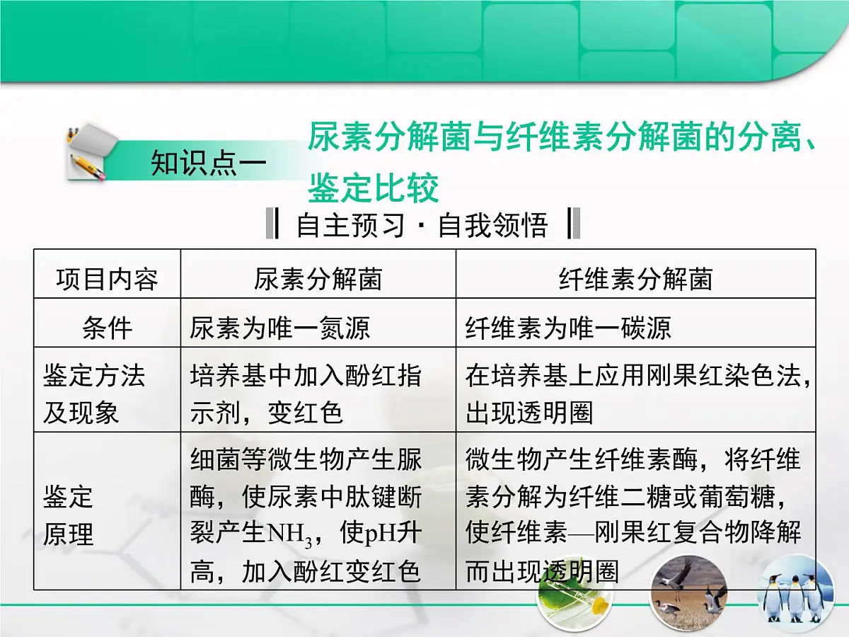 人教版 (新课标)高中生物选修1 2-1《微生物的实验室培养》专题复习课件第3页