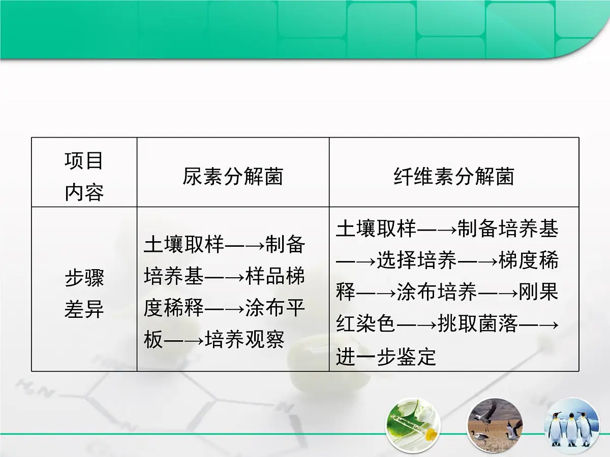 人教版 (新课标)高中生物选修1 2-1《微生物的实验室培养》专题复习课件第4页