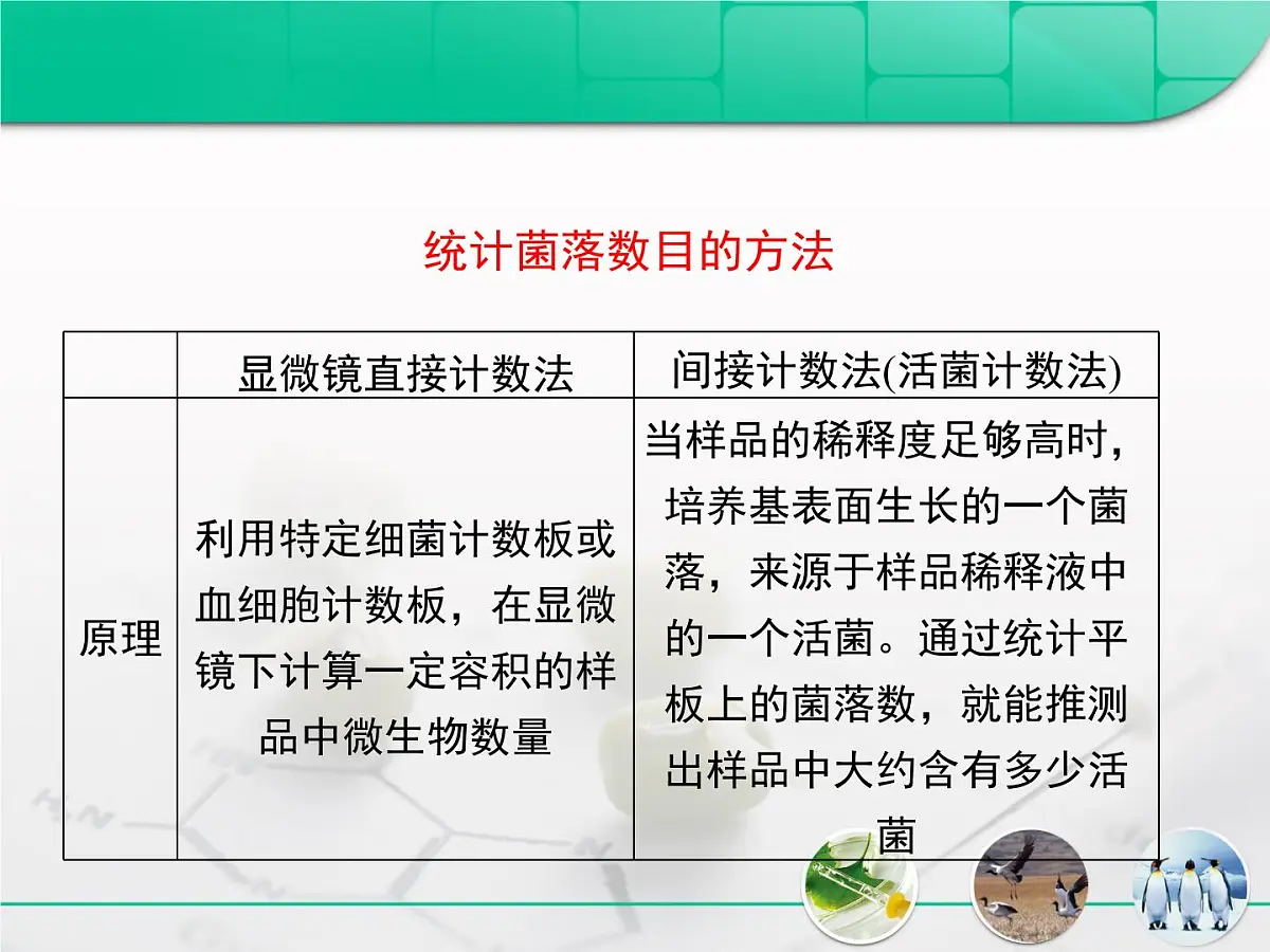 人教版 (新课标)高中生物选修1 2-1《微生物的实验室培养》专题复习课件第5页
