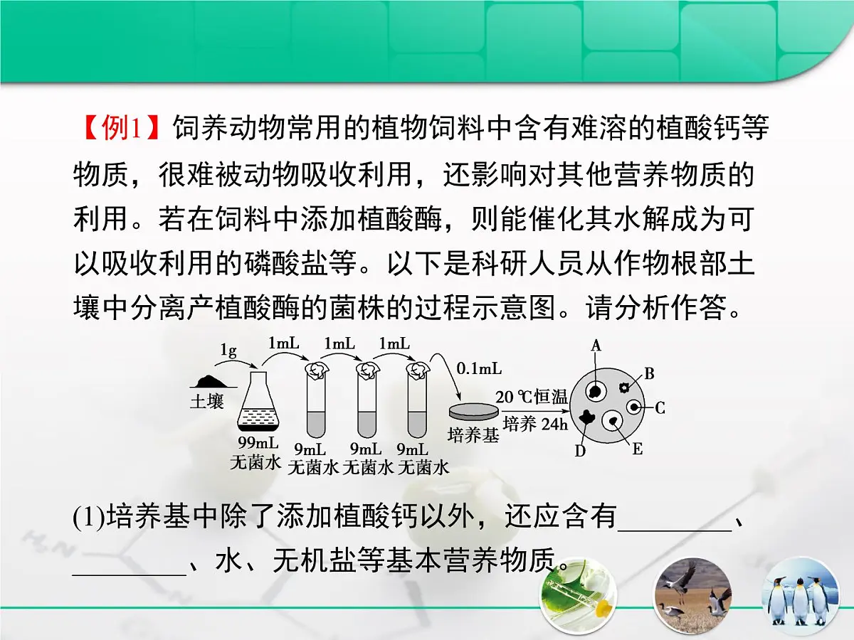 人教版 (新课标)高中生物选修1 2-1《微生物的实验室培养》专题复习课件第7页