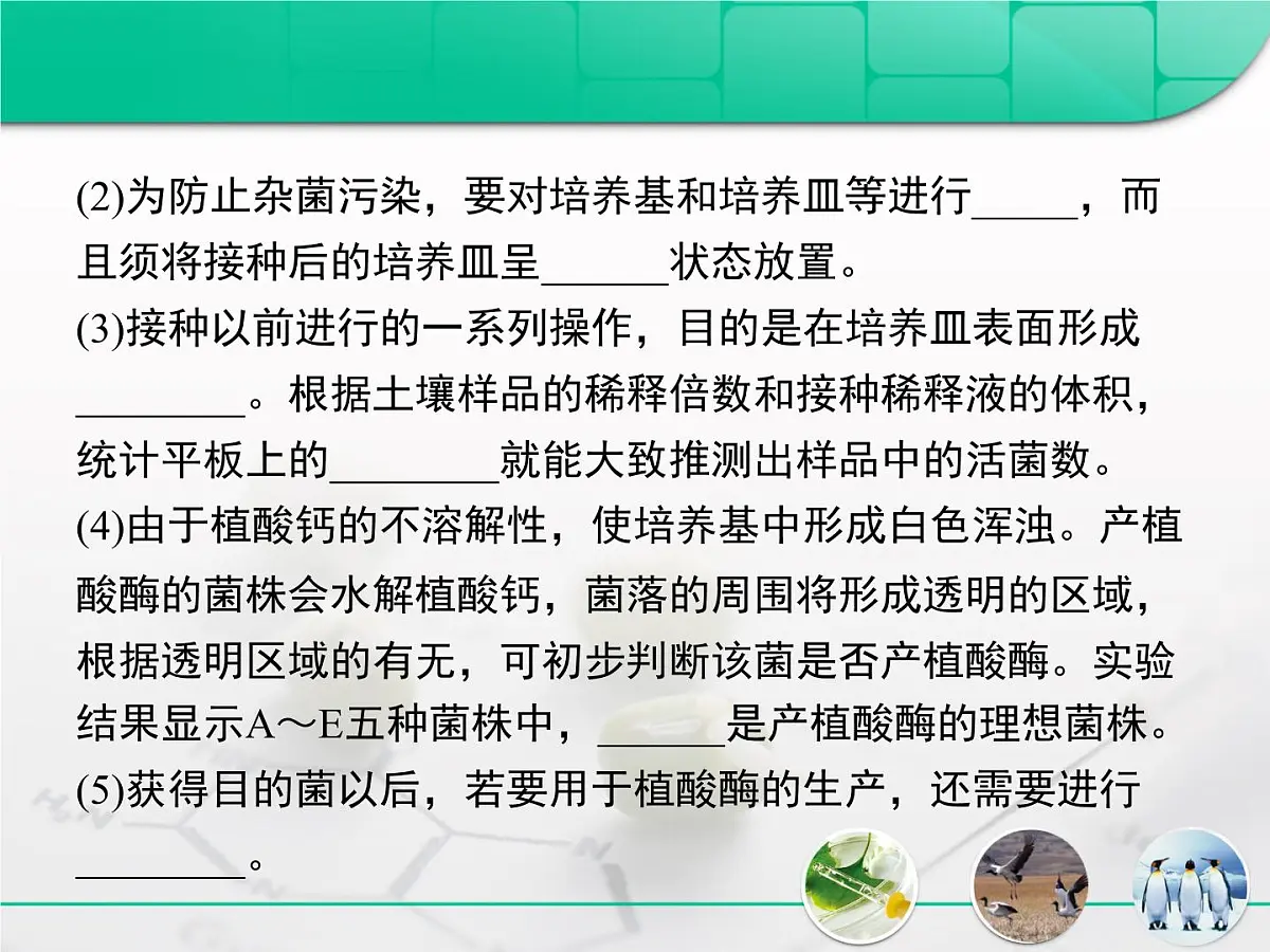 人教版 (新课标)高中生物选修1 2-1《微生物的实验室培养》专题复习课件第8页