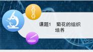 高中生物人教版 (新课标)选修1《生物技术实践》菊花的组织培养教案配套ppt课件