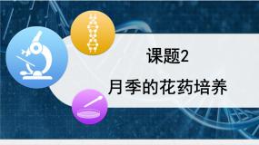 高中生物月季的花药培养教学课件ppt