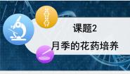 生物选修1《生物技术实践》月季的花药培养教课ppt课件