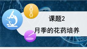 生物选修1《生物技术实践》月季的花药培养教课ppt课件