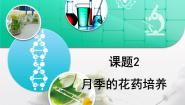 生物选修1《生物技术实践》月季的花药培养复习ppt课件