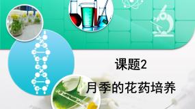 生物选修1《生物技术实践》月季的花药培养复习ppt课件