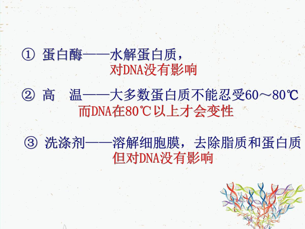 人教版 (新课标)高中生物选修1 5-1《DNA的粗提取与鉴定》课件第4页