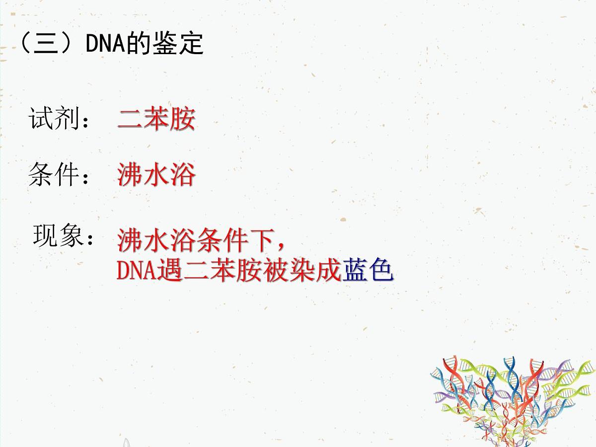 人教版 (新课标)高中生物选修1 5-1《DNA的粗提取与鉴定》课件第5页