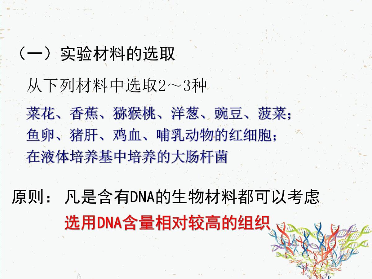 人教版 (新课标)高中生物选修1 5-1《DNA的粗提取与鉴定》课件第7页