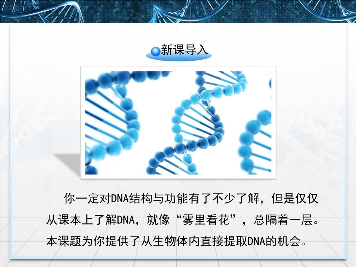 人教版 (新课标)高中生物选修1 5-1《DNA的粗提取与鉴定》课件第2页