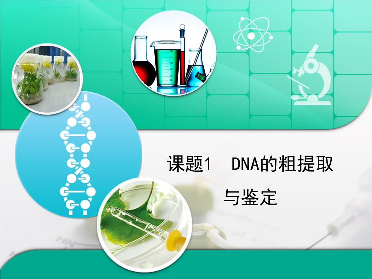 人教版 (新课标)高中生物选修1 5-1《DNA的粗提取与鉴定》复习课件第1页