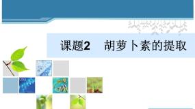 人教版 (新课标)选修1《生物技术实践》胡萝卜素的提取课文配套课件ppt