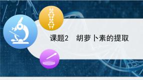 人教版 (新课标)选修1《生物技术实践》胡萝卜素的提取课堂教学课件ppt