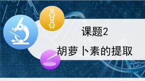高中生物人教版 (新课标)选修1《生物技术实践》胡萝卜素的提取集体备课ppt课件