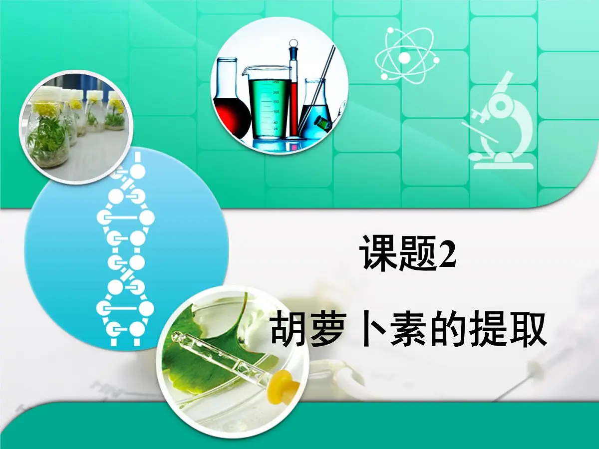 人教版 (新课标)高中生物选修1 6-2《胡萝卜素的提取》复习课件第1页