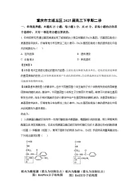 重庆市主城五区2025届高三下二诊(解析版生物试卷