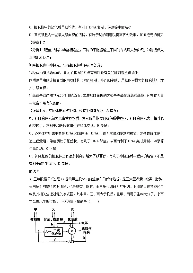 安徽省五校联考2025届高三下5月月考生物试卷(解析版)第2页