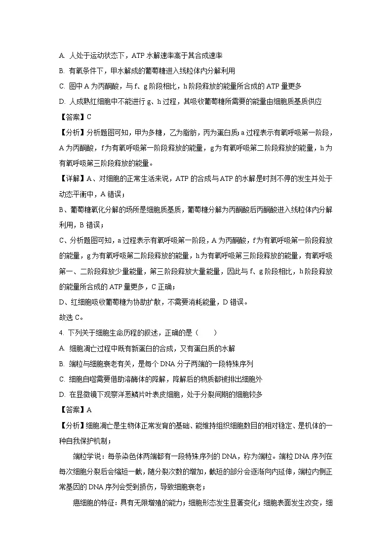 安徽省五校联考2025届高三下5月月考生物试卷(解析版)第3页