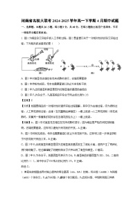 【生物】河南省名校大联考2024-2025学年高一下学期4月期中试题（解析版）