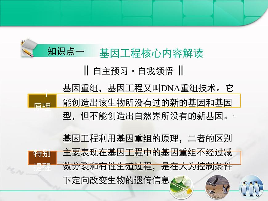 人教版 (新課標)高中生物選修3 專題1《基因工程》專題復習課件第3頁