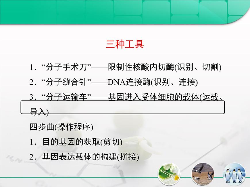 人教版 (新課標)高中生物選修3 專題1《基因工程》專題復習課件第5頁