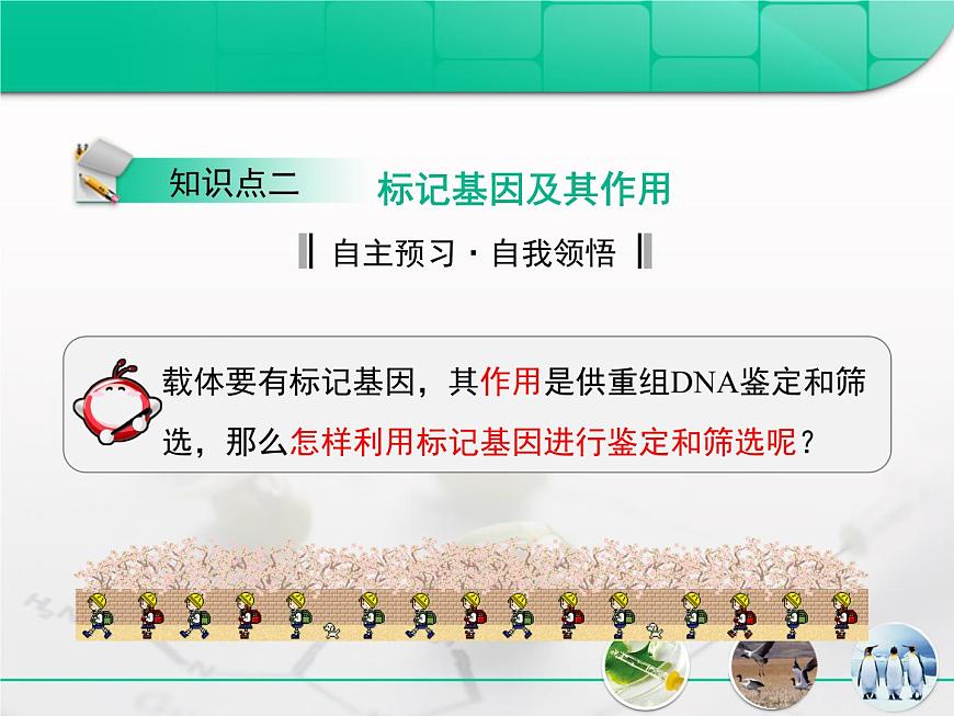 人教版 (新課標)高中生物選修3 專題1《基因工程》專題復習課件第7頁