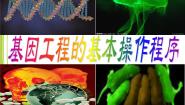 生物选修3《现代生物科技专题》基因工程的基本操作程序课文配套ppt课件