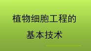 高中生物人教版 (新课标)选修3《现代生物科技专题》植物细胞工程的基本技术教学演示课件ppt