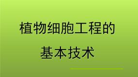 高中生物人教版 (新课标)选修3《现代生物科技专题》植物细胞工程的基本技术教学演示课件ppt
